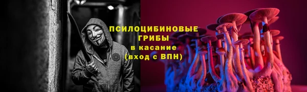 ГАЛЛЮЦИНОГЕННЫЕ ГРИБЫ Переславль-Залесский