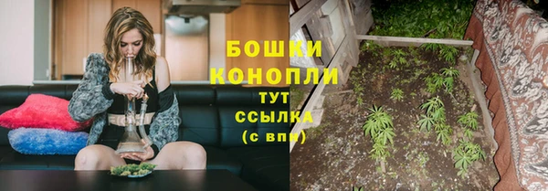 мет Пестово